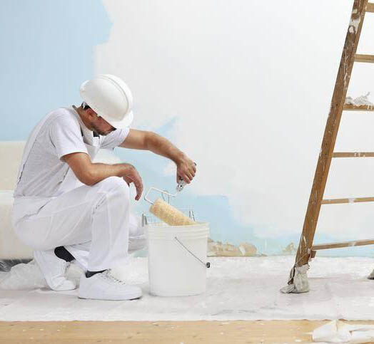 anaya-professionnel-peintre